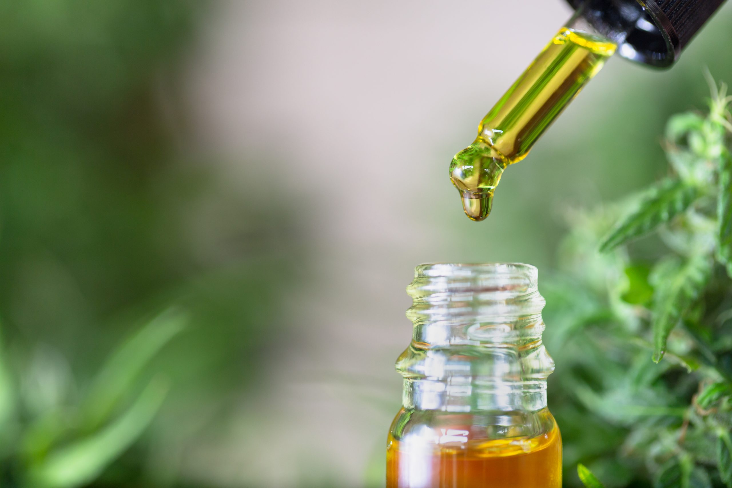 Como ler um certificado de análise (COA) de produtos com canabinoides
